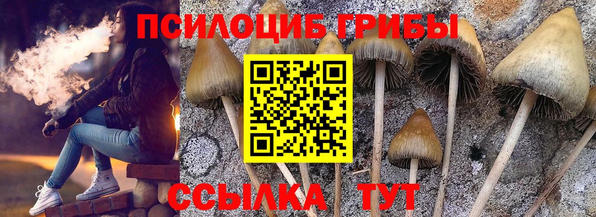 Кохма  Галлюциногенные грибы Magic Shrooms  Вход с VPN  Галлюциногенные грибы Psilocybine cubensis 