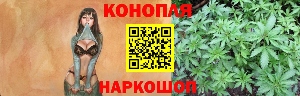 Шишки марихуана семена  Бошки Шишки планчик  Марихуана семена  Кохма  Вход с VPN 